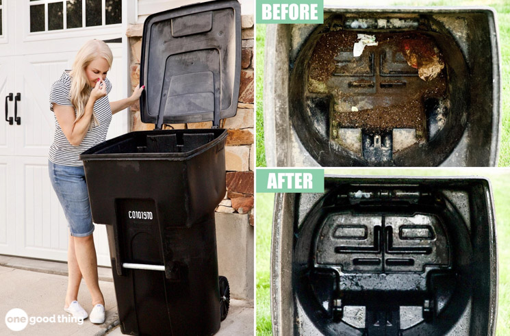 Wash Bins Trash Service